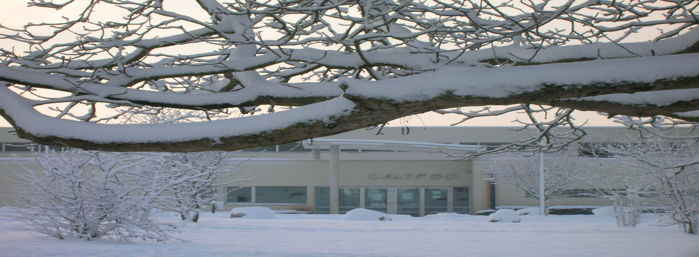 Déneigement / fauchage