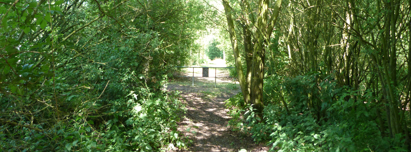 Les chemins de randonnée